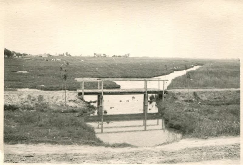 Temerini híd a barán