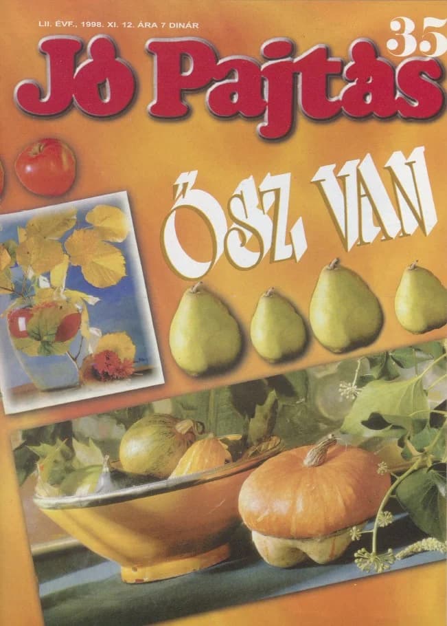 Jó Pajtás, 52. évf. 1998. november 12. 35. sz.