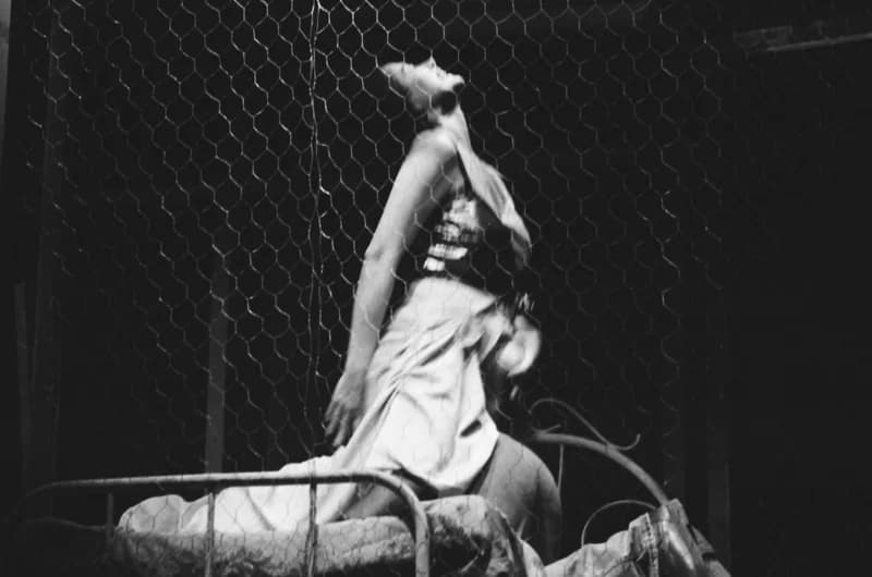 Tömöry Péter (r.), Tolnai Ottó: Paripacitrom 