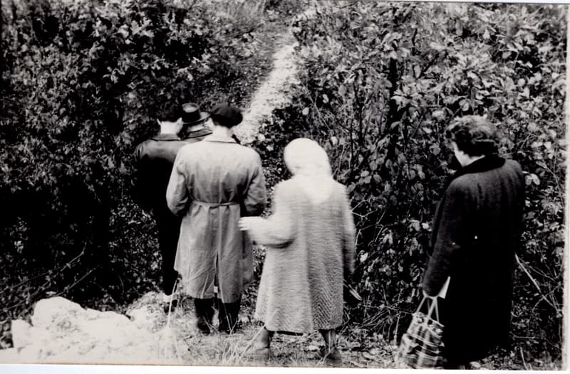 A gamzigrádi romoknál