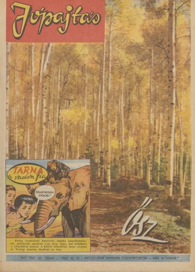 Jó Pajtás, 14. évf. 1960. november 10. 31. sz.