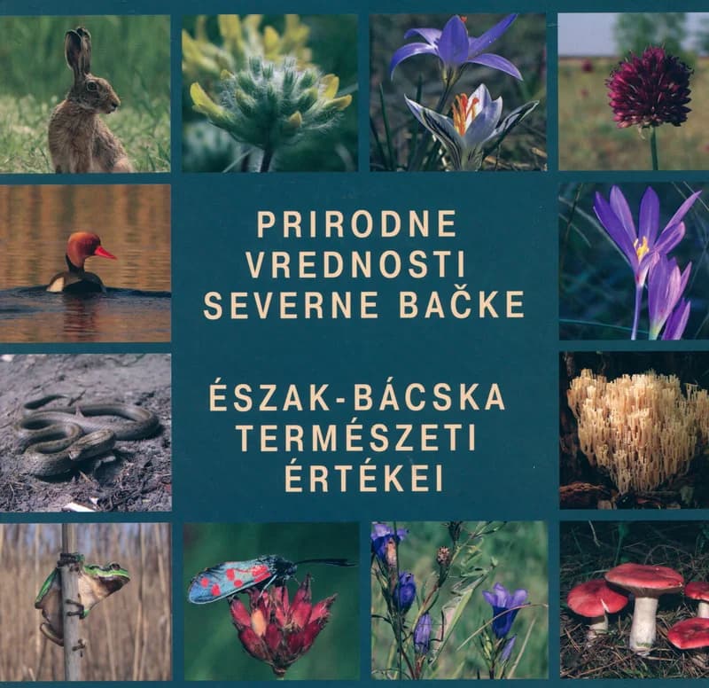 Prirodne vrednosti severne Bačke / Észak-Bácska természeti értékei
