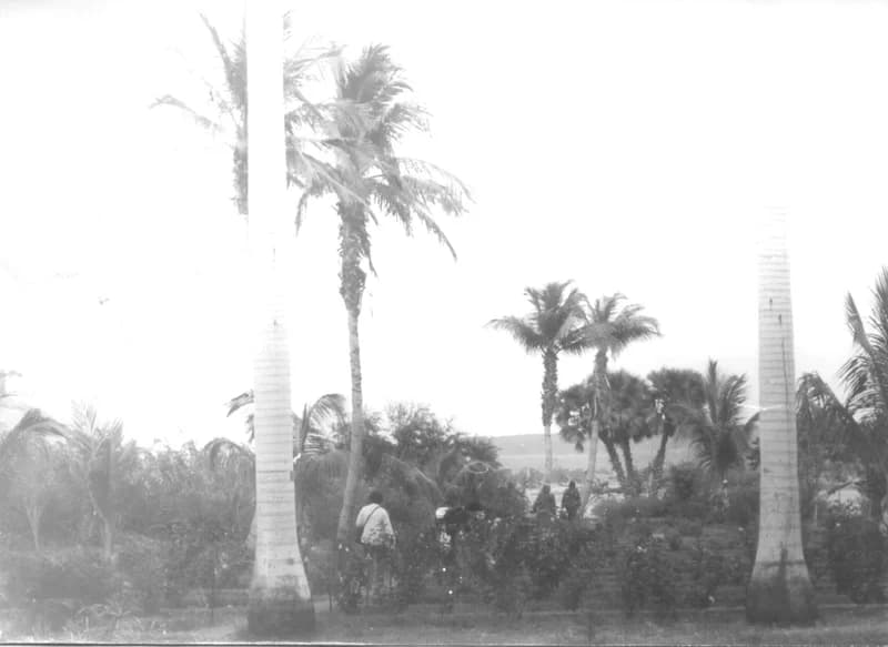 A Fehér család Egyiptomban