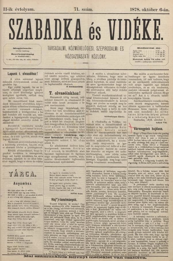 Szabadka és vidéke, 2. évf. 1878. október 6. 71. sz.