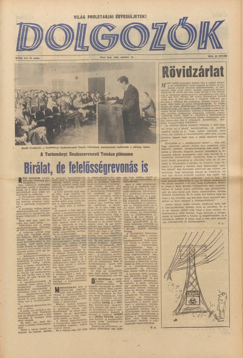 Dolgozók, 19. évf. 1965. október 15. 41. sz.