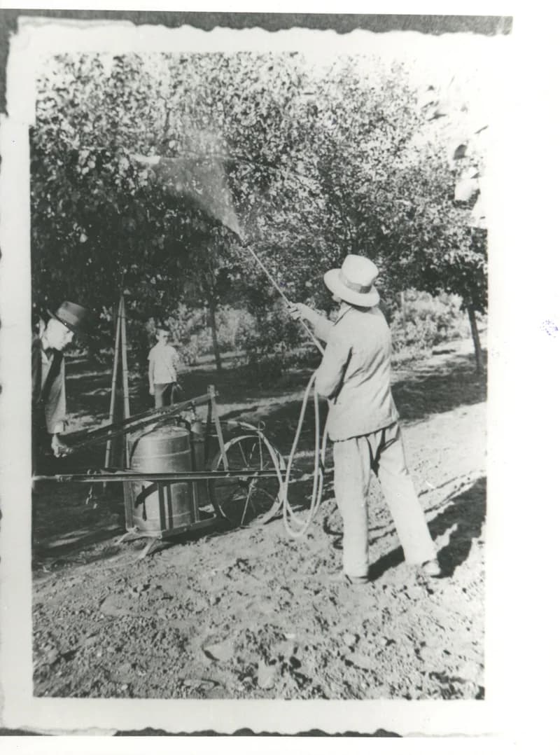 Ökrész László permetez