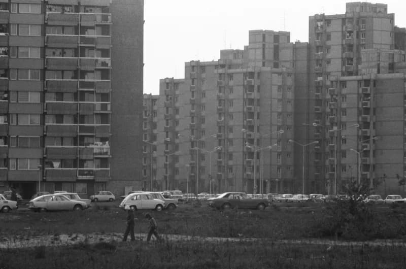 Újvidék, Liman városnegyed