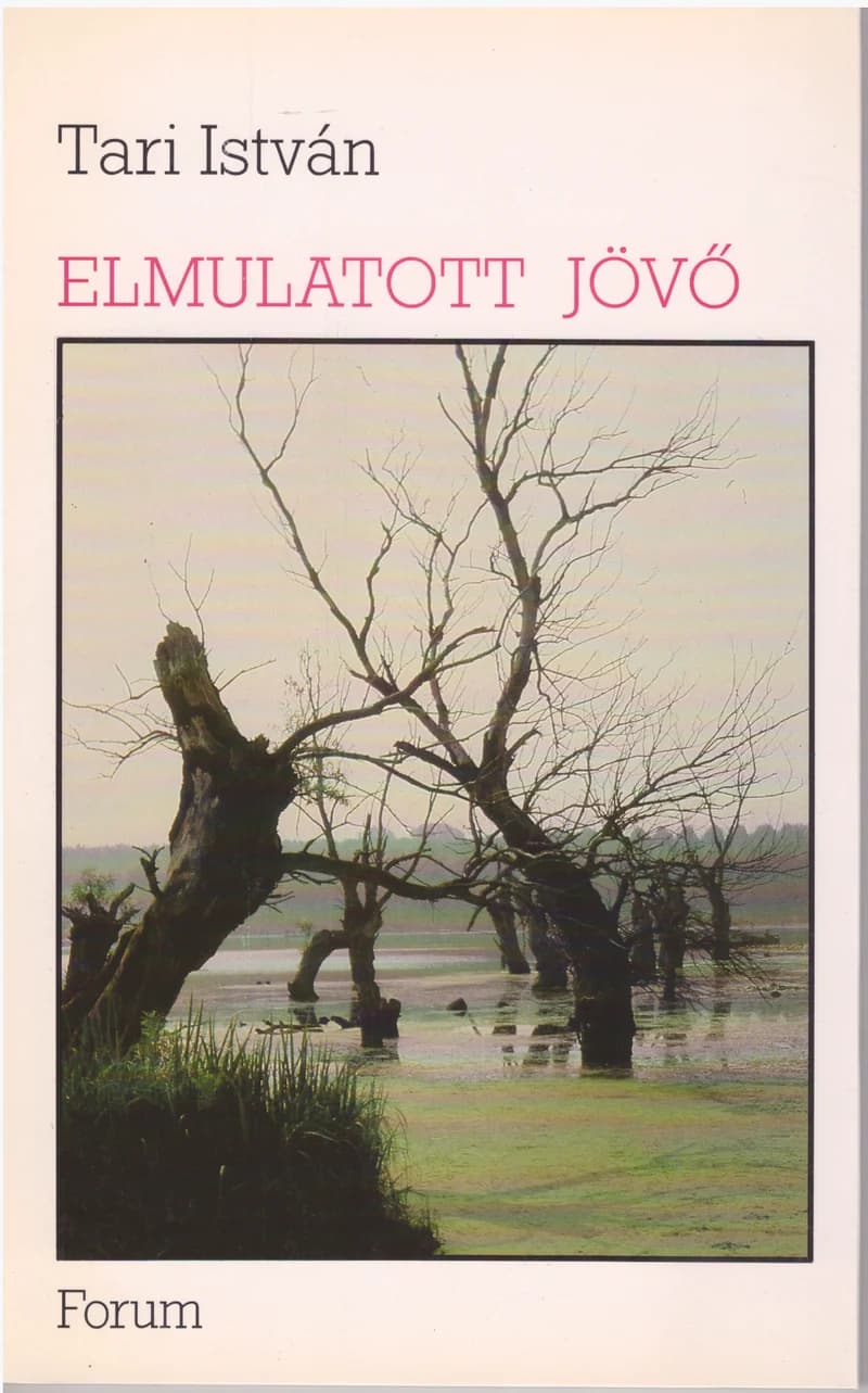 Elmulatott jövő 