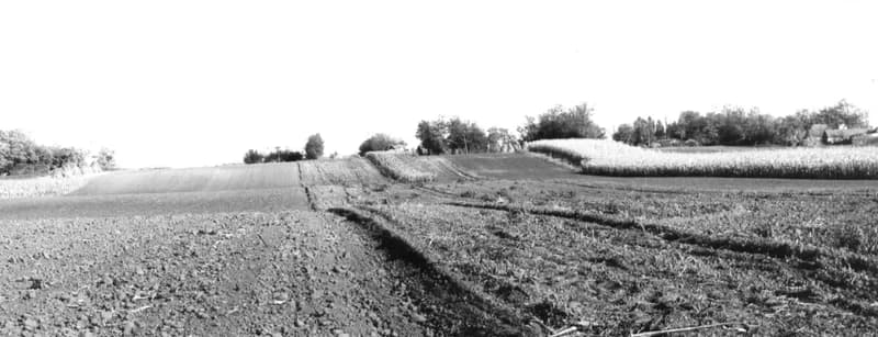 Szántóföldek a zentai határban