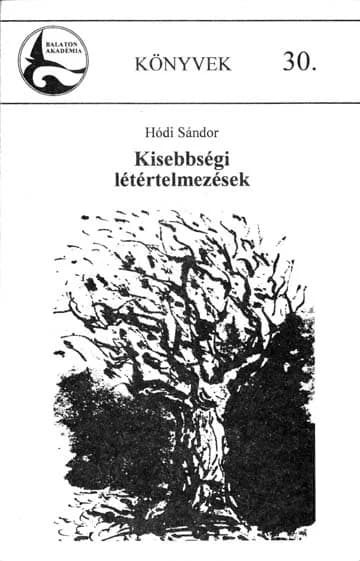 Kisebbségi létértelmezések