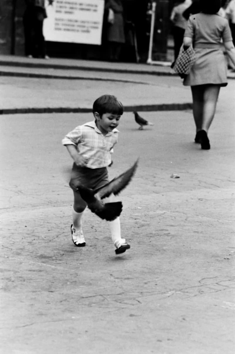 Gyerekek Újvidék utcáin