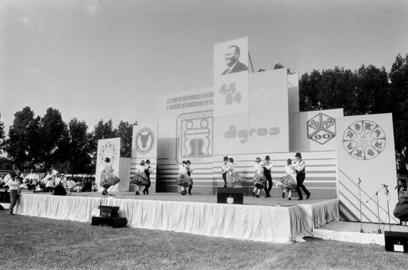 XXI. Gyöngyösbokréta