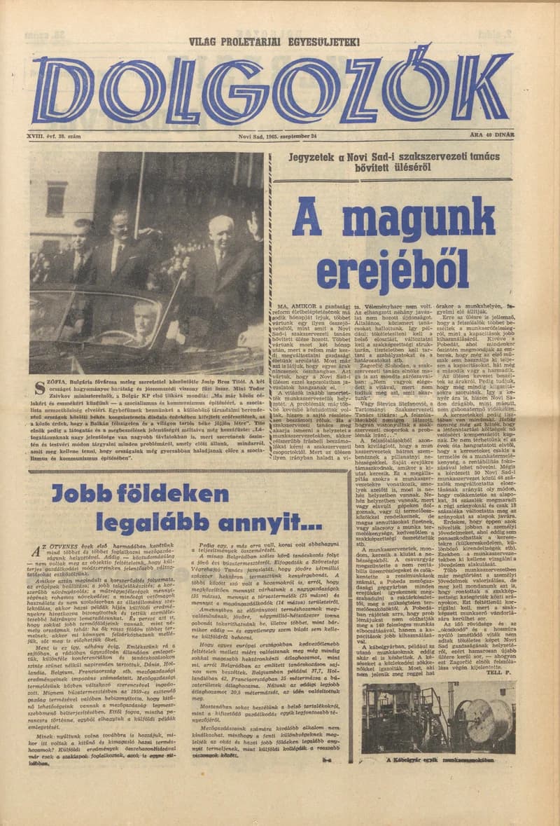 Dolgozók, 19. évf. 1965. szeptember 24. 38. sz.