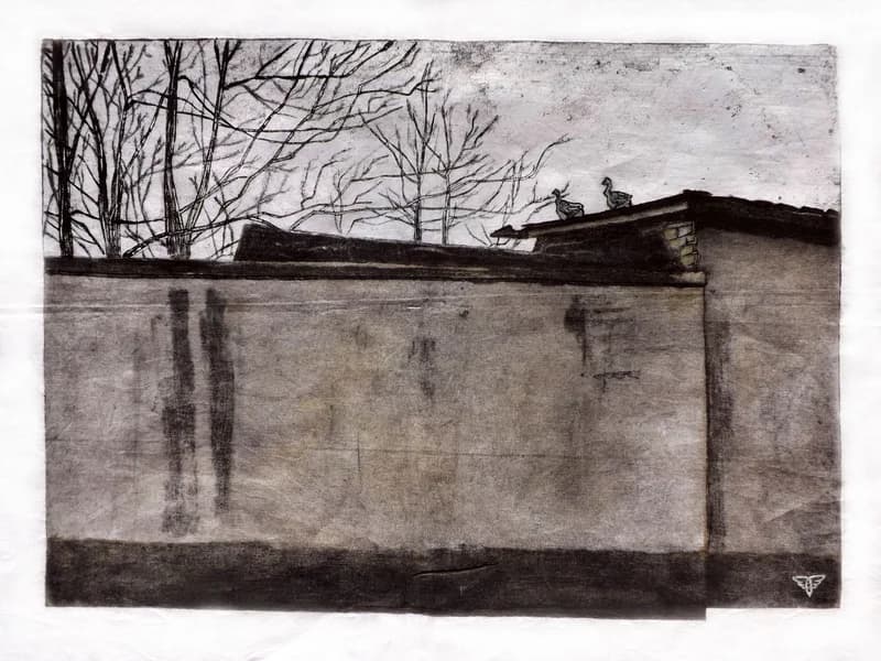 Fal és gyöngyöstyúkok 1/1