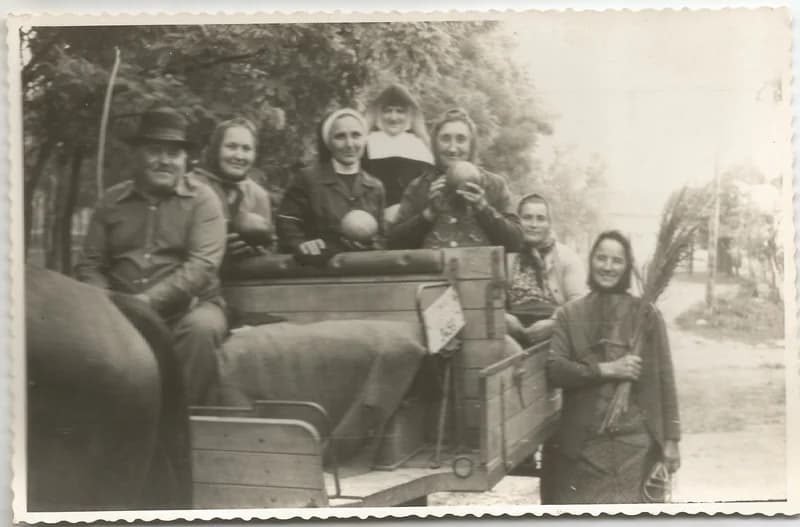 Vendégek lovaskocsin