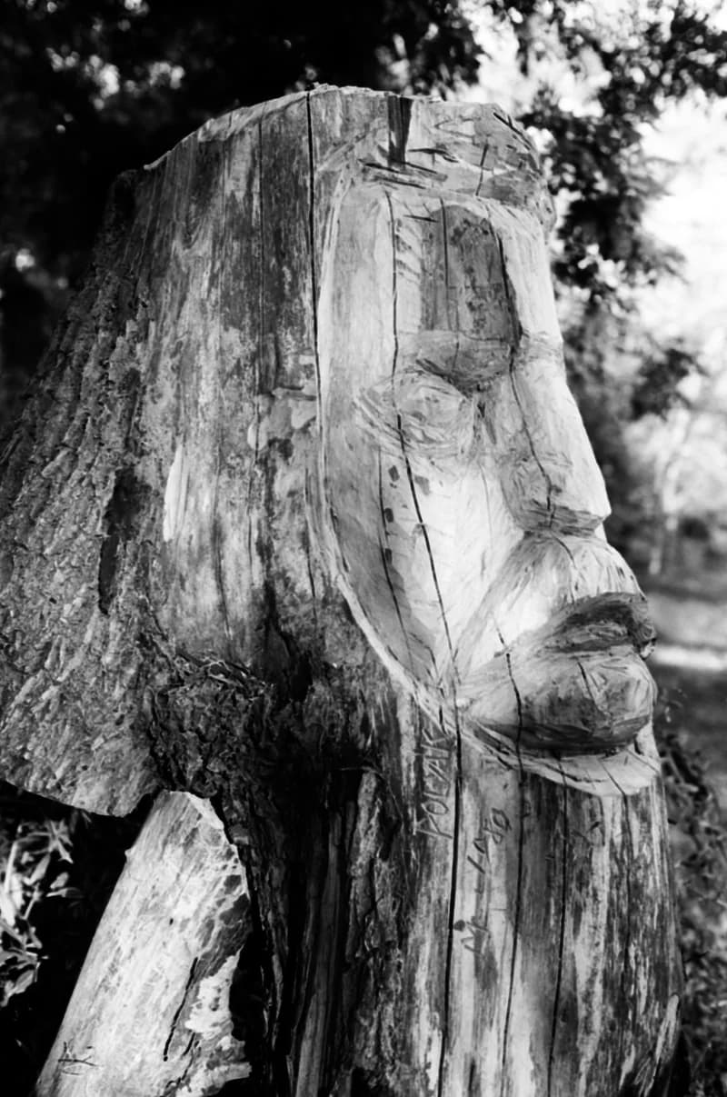 Polyák Ferenc fafaragó