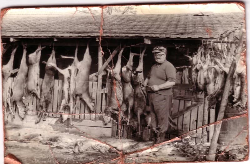 Kilőtt vadak feldolgozása