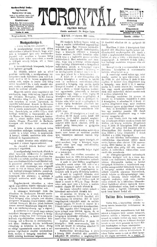 Torontál, 28. évf. 1899. október 4. 227. sz.