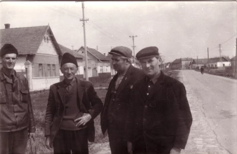 Mézelőfa ültetés 