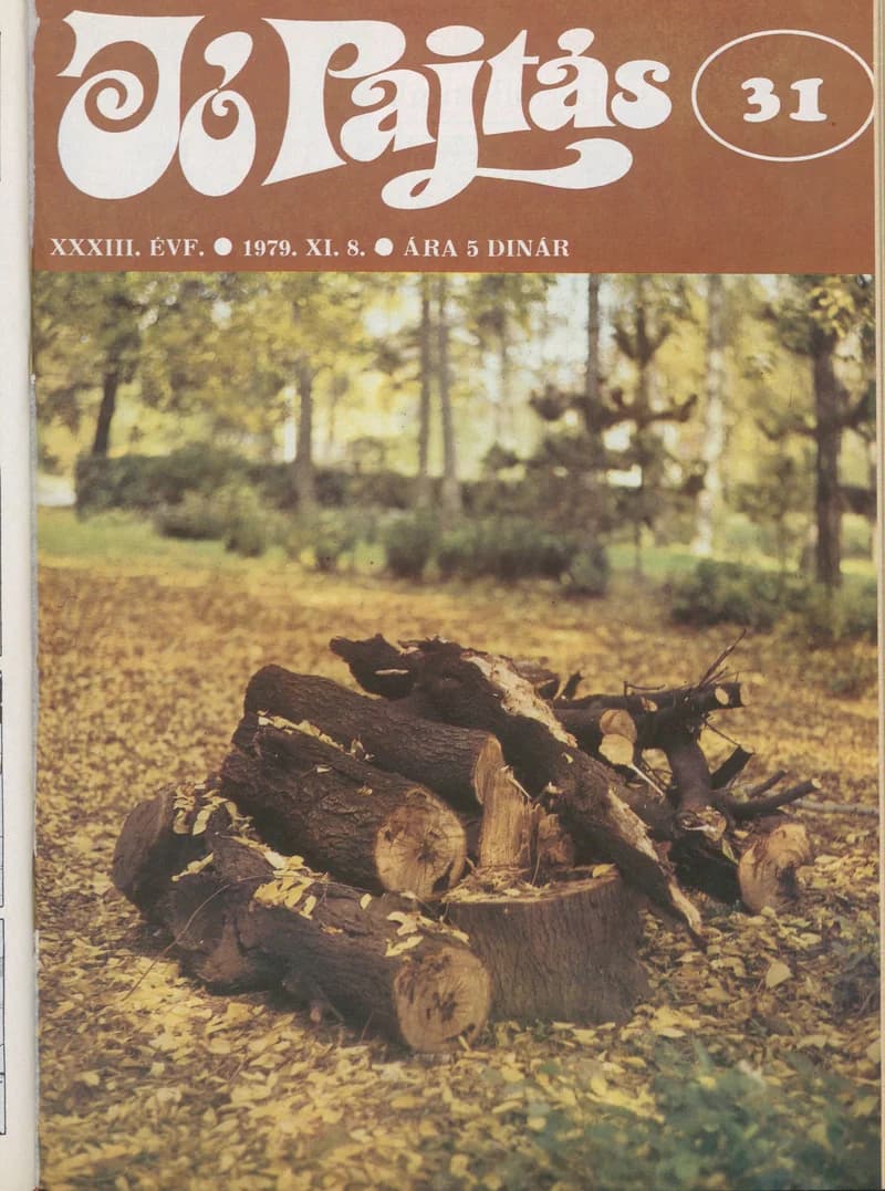 Jó Pajtás, 33. évf. 1979. november 8. 31. sz.