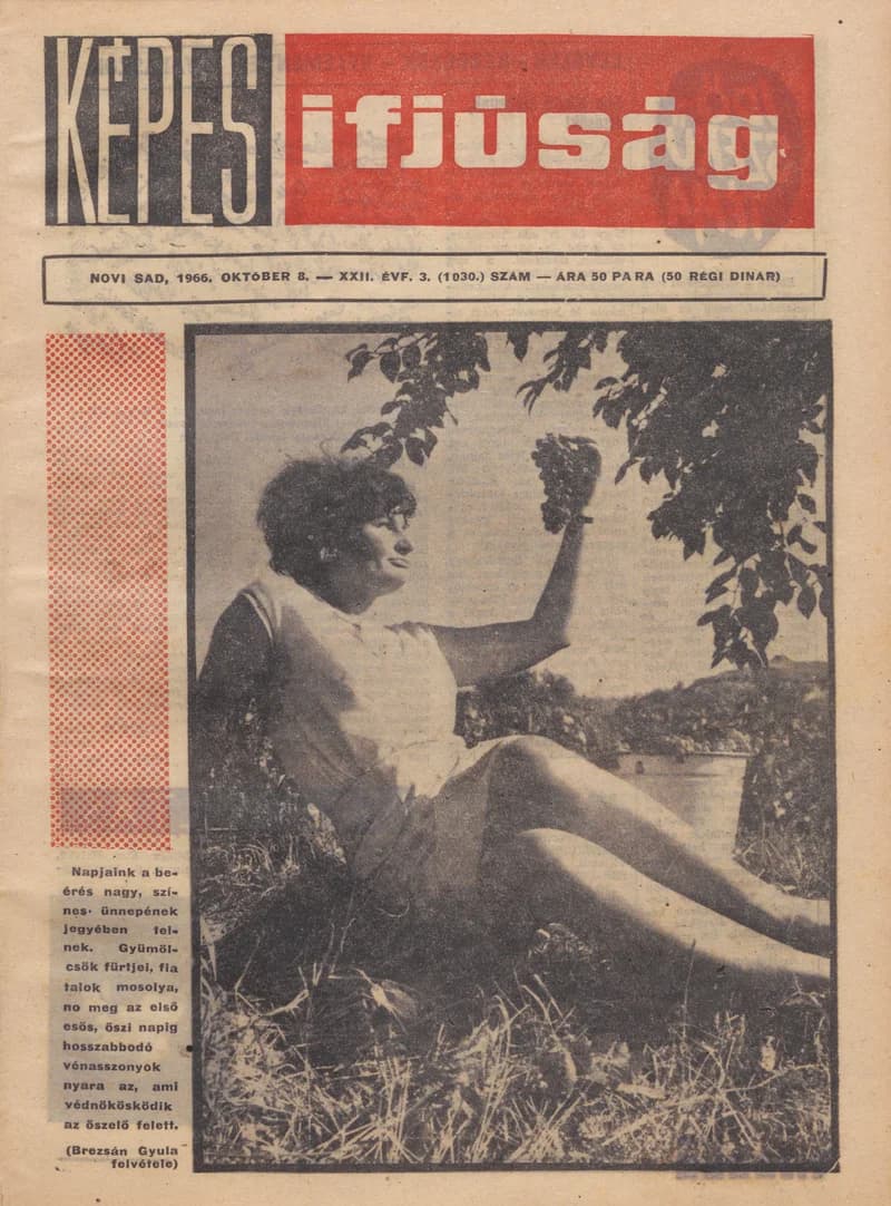 Képes Ifjúság, 22. évf. 1966. október 8. 3. sz. 1–32. oldal