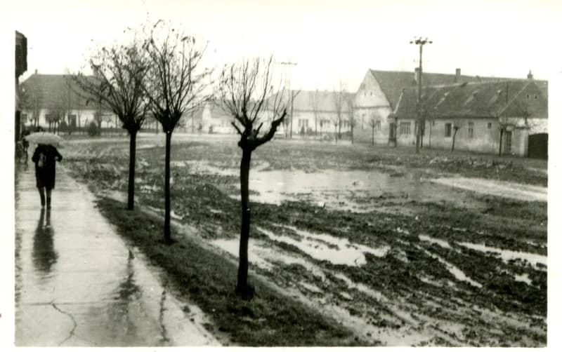A temerini Kossuth utca
