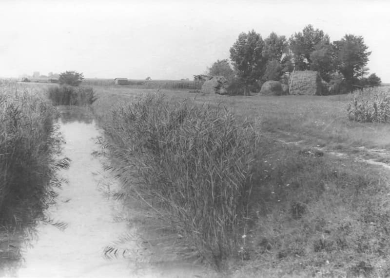 Temerin - Tanya a Fehér-ároknál