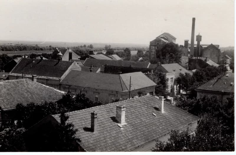 Zentai látkép háttérben a malommal