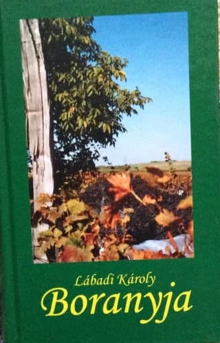 Boranyja