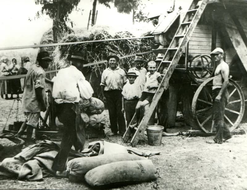 Cséplés Ökrész László tanyáján