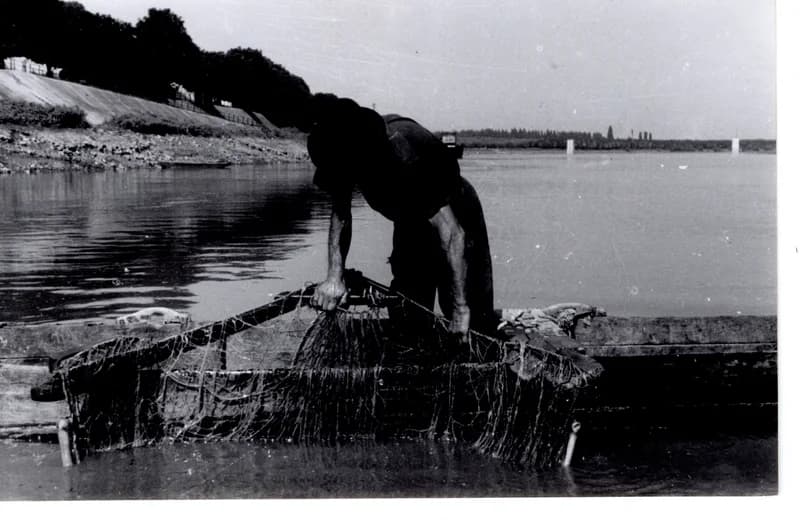 Halász munka közben