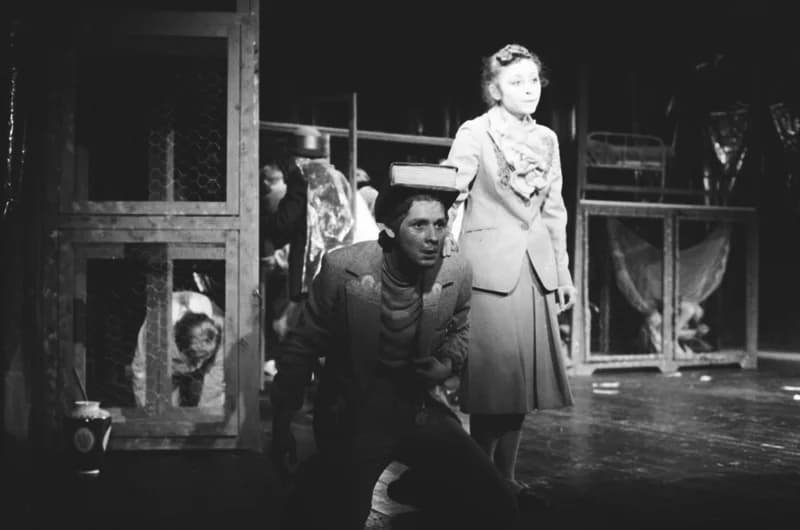 Tömöry Péter (r.), Tolnai Ottó: Paripacitrom 