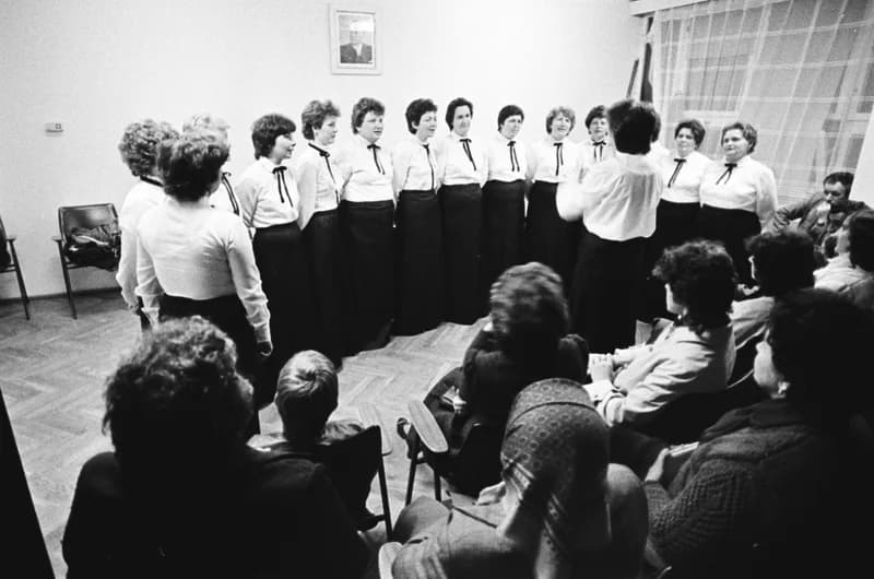 A Tiszavirág Zentán