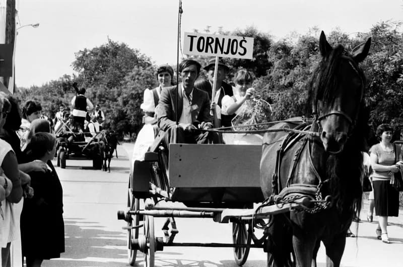 XXI. Gyöngyösbokréta