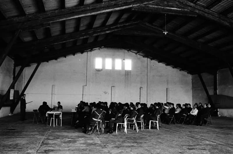 Repülőnap Csenejen