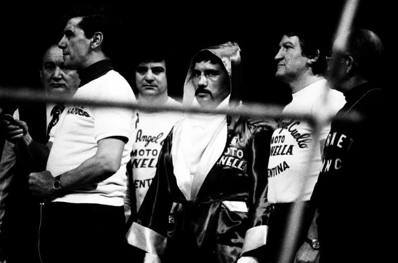 Ökölvívás Milánóban /Miguel Angel Cuello - Mate Parlov/