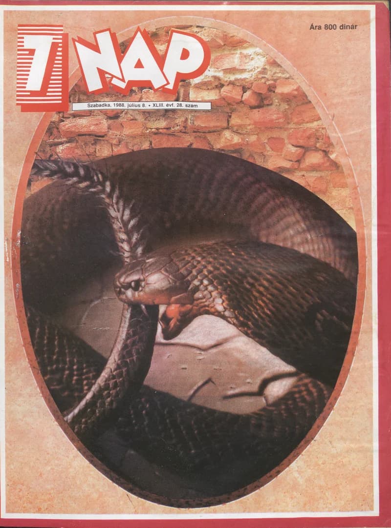 7 Nap, 43. évf. 1988. július 8. 28. sz. 1–68. oldal