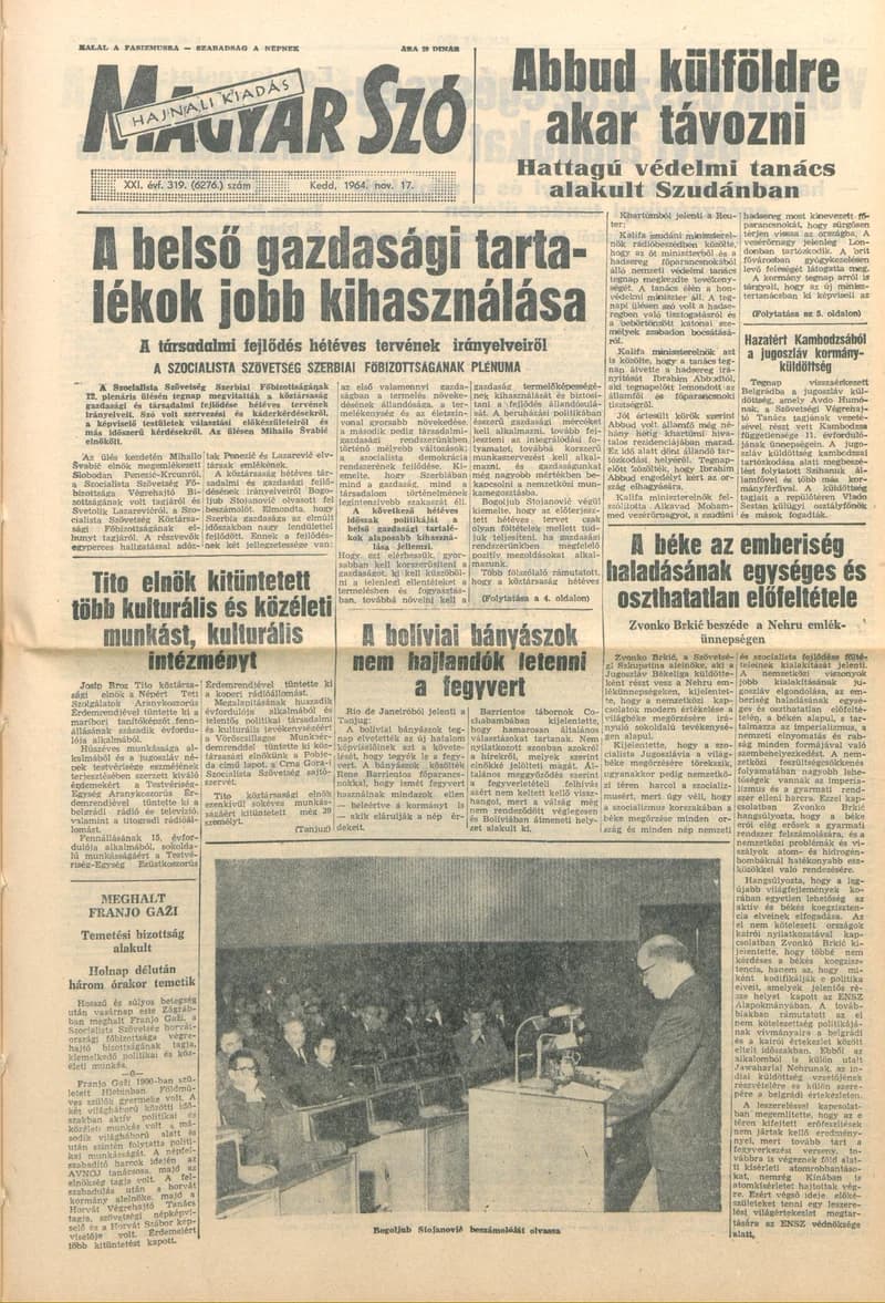 Magyar Szó, 21. évf. 1964. november 17. 319. sz.