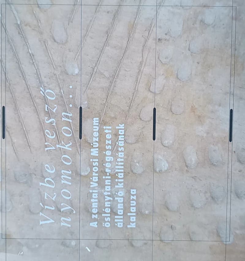 Vízbe vesző nyomokon... / Tragovi što gube se u vodi... 