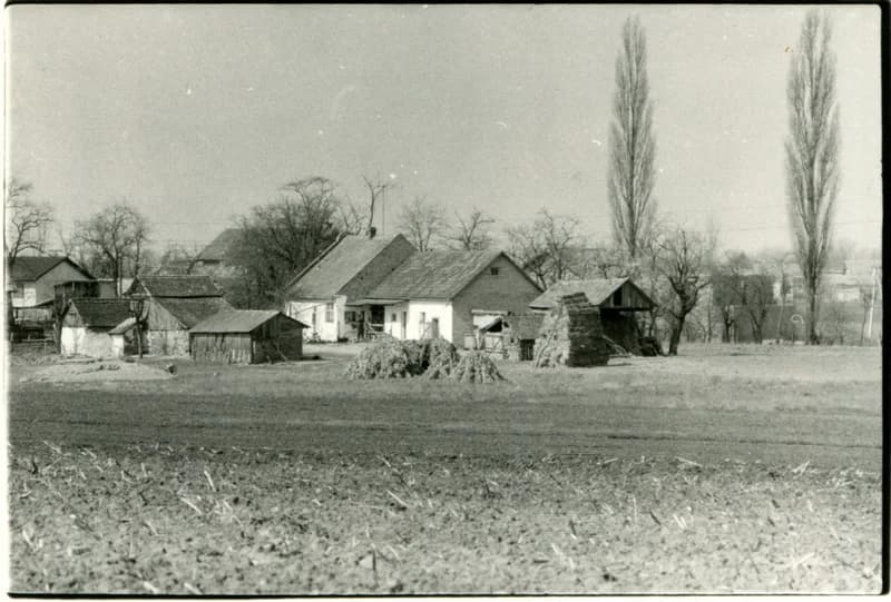 Temerin - Kutyaluk vége