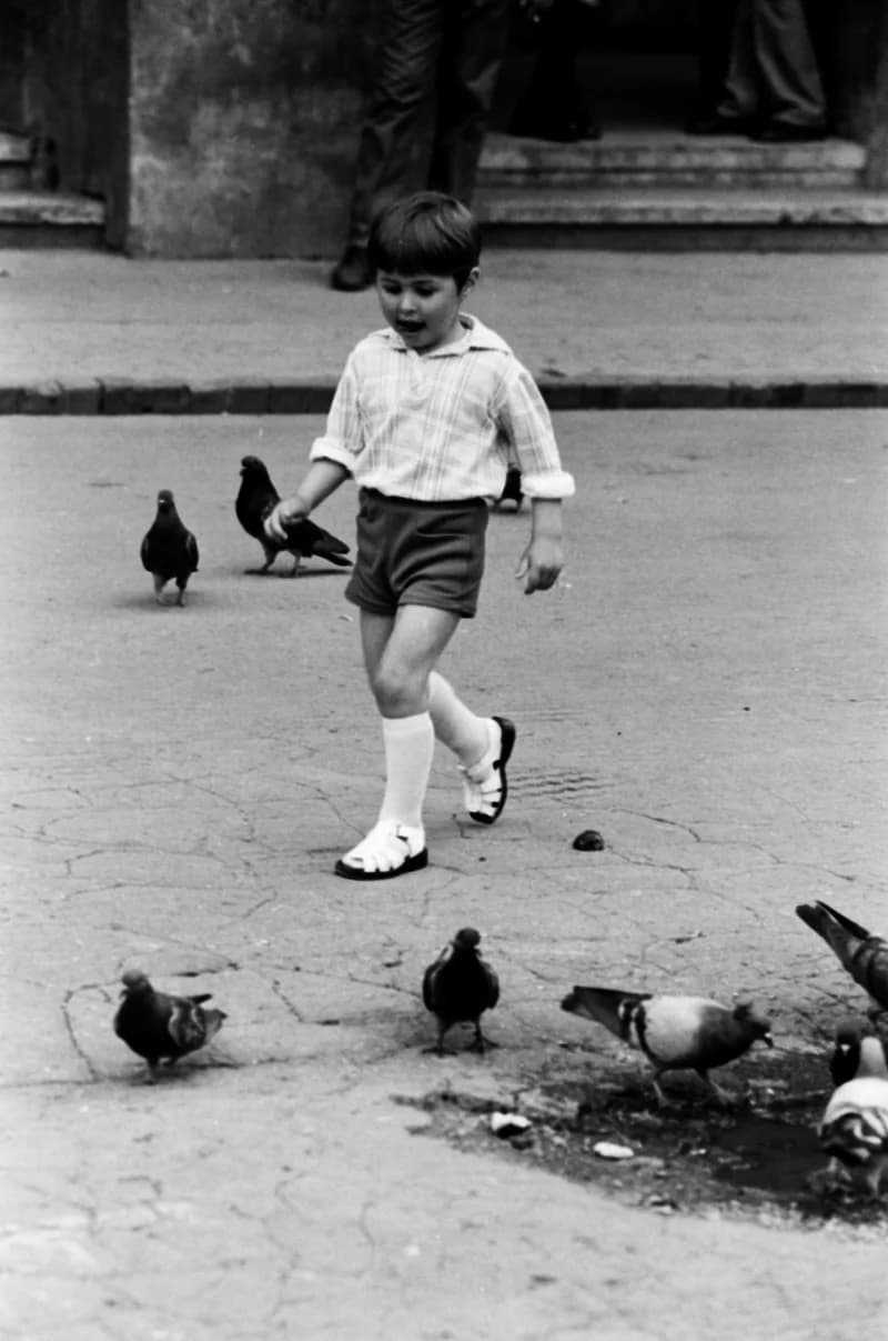 Gyerekek Újvidék utcáin