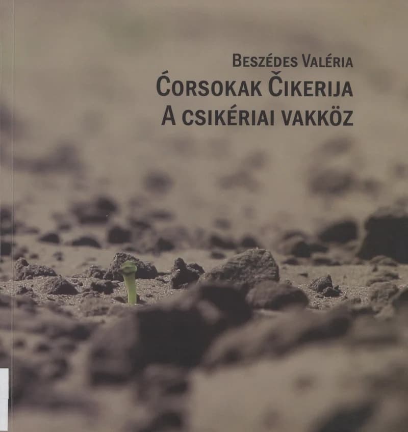 Ćorsokak Čikerija / A csikériai vakköz