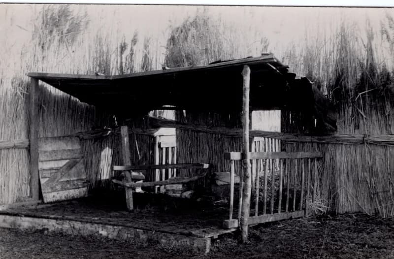 Szárnyék melletti fejő