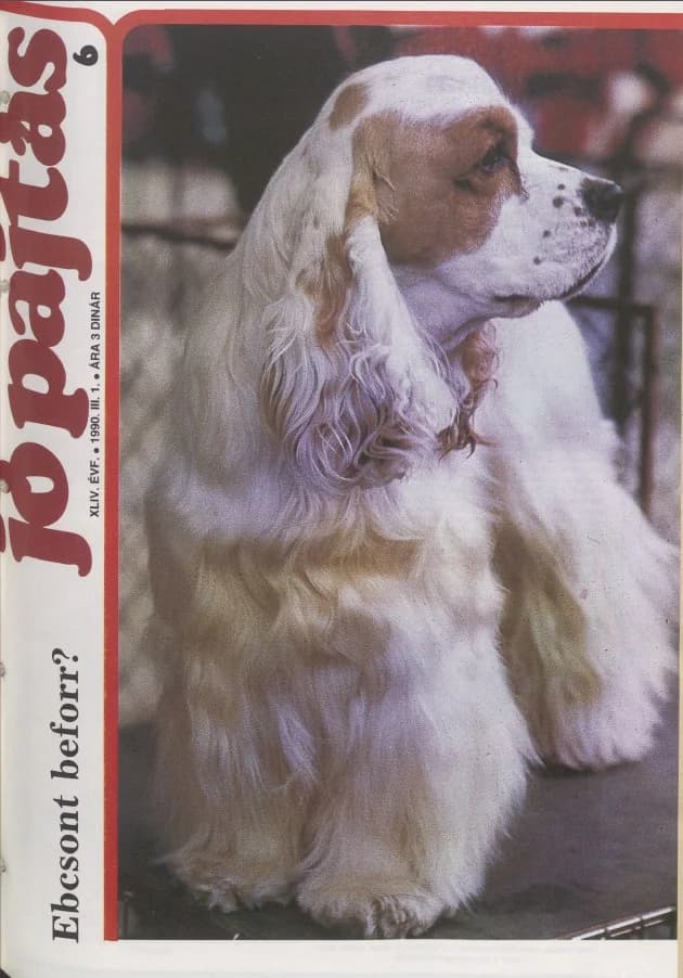 Jó Pajtás, 44. évf. 1990. március 1. 6. sz.