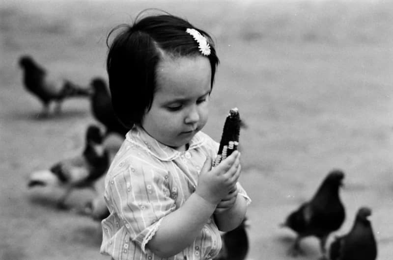 Gyerekek Újvidék utcáin