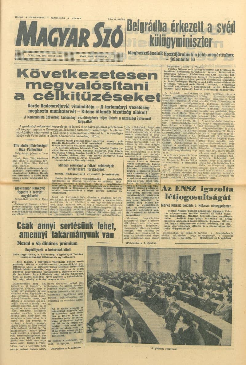 Magyar Szó, 22. évf. 1965. október 26. 295. sz.