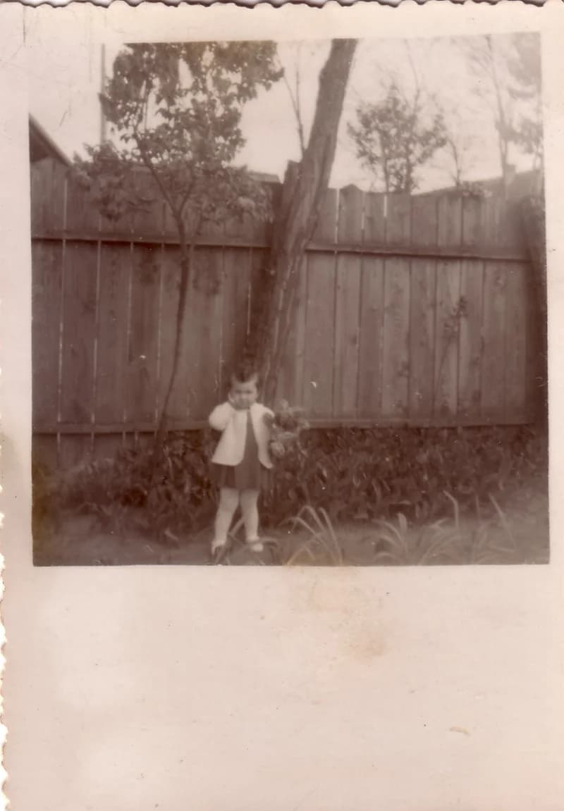 Kislány a deszka kerítésnél