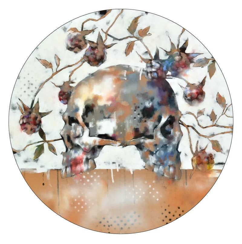 Sziámi koponya 1877-ből