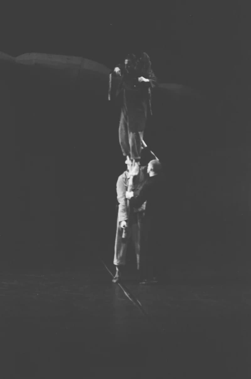 A Párizsi Jel Színház előadása: A hét rinocéroszbőr