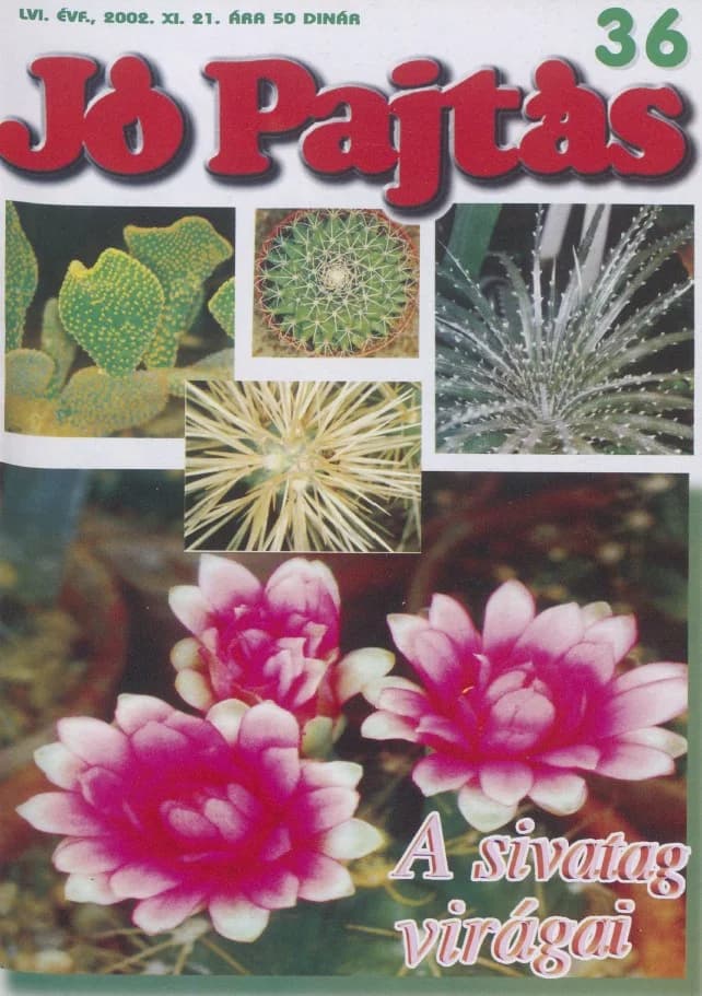 Jó Pajtás, 56. évf. 2002. november 21. 36. sz.